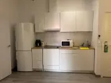 Cocina del Apartamento Exterior con frigorífico, placa, campana, microondas y fregadero sobre encimera de madera